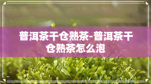 普洱茶干仓熟茶-普洱茶干仓熟茶怎么泡