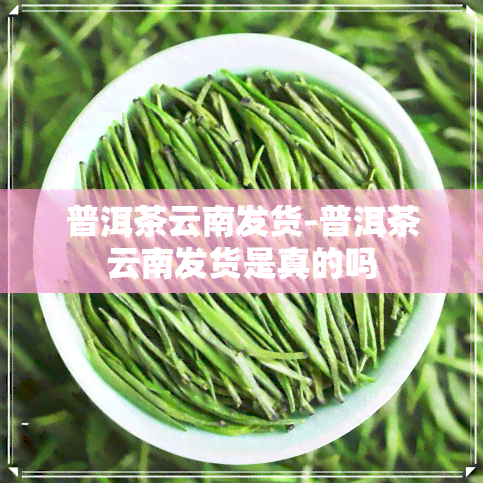 普洱茶云南发货-普洱茶云南发货是真的吗