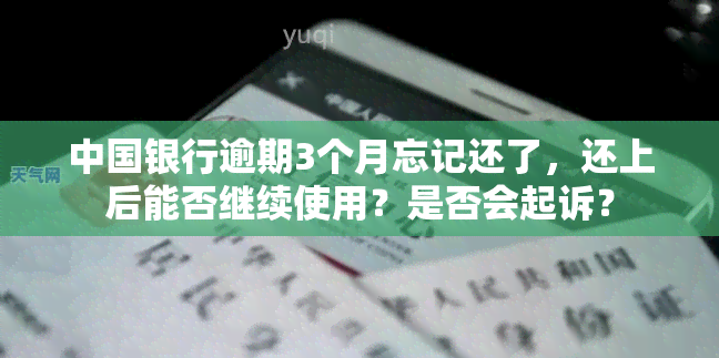 中国银行逾期3个月忘记还了，还上后能否继续使用？是否会起诉？