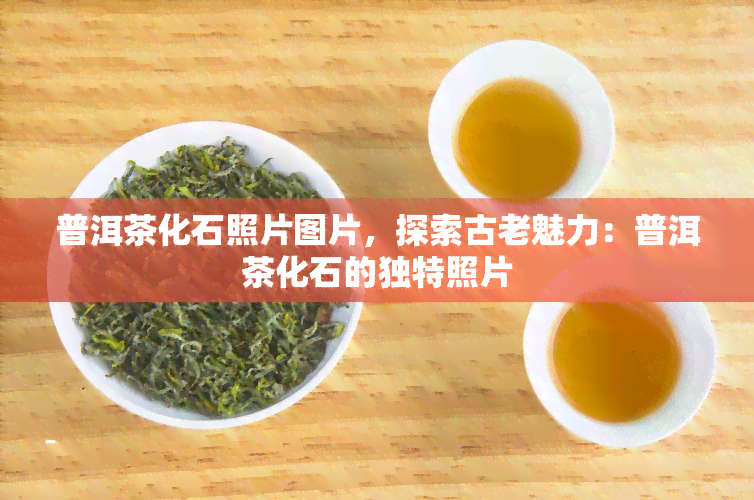 普洱茶化石照片图片，探索古老魅力：普洱茶化石的独特照片