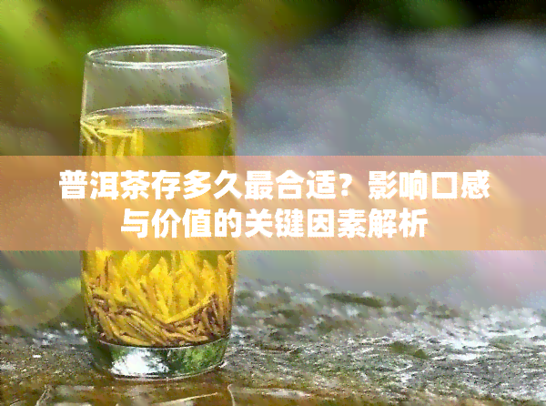 普洱茶存多久最合适？影响口感与价值的关键因素解析