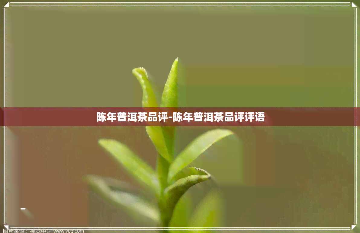 陈年普洱茶品评-陈年普洱茶品评评语