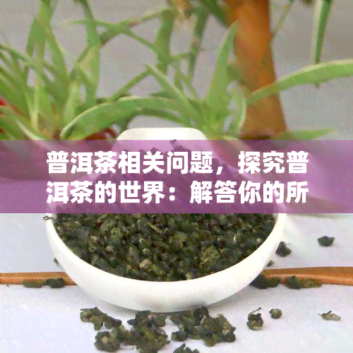 普洱茶相关问题，探究普洱茶的世界：解答你的所有疑问