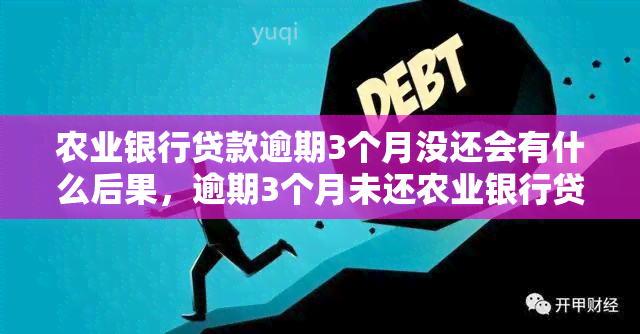 农业银行贷款逾期3个月没还会有什么后果，逾期3个月未还农业银行贷款的严重后果是什么？