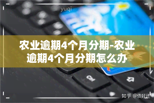 农业逾期4个月分期-农业逾期4个月分期怎么办