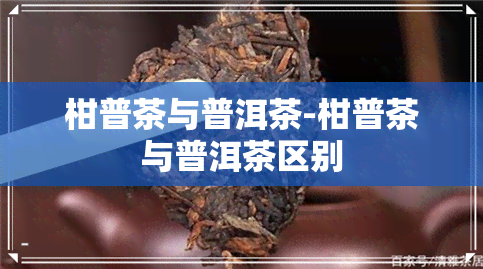 柑普茶与普洱茶-柑普茶与普洱茶区别