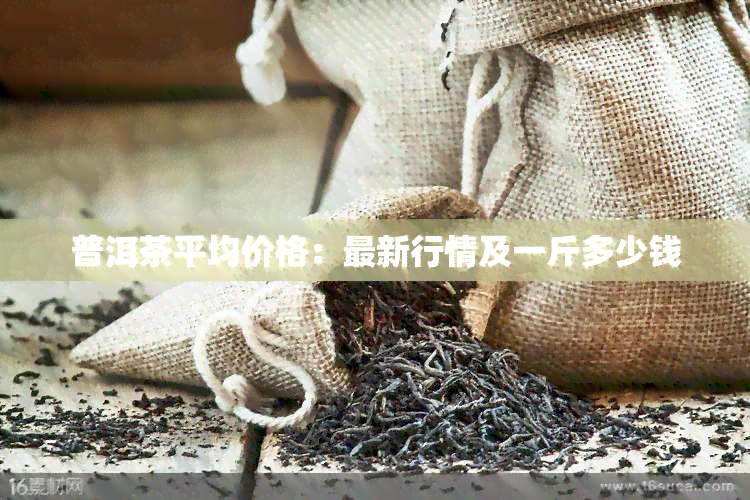 普洱茶平均价格：最新行情及一斤多少钱