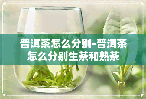 普洱茶怎么分别-普洱茶怎么分别生茶和熟茶