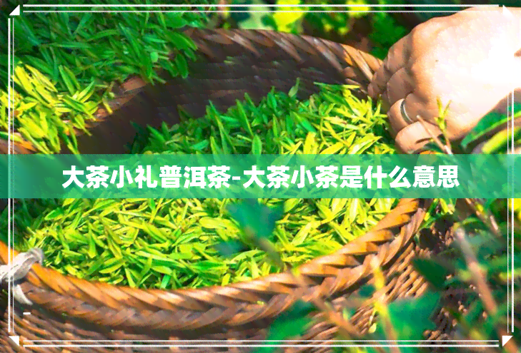 大茶小礼普洱茶-大茶小茶是什么意思