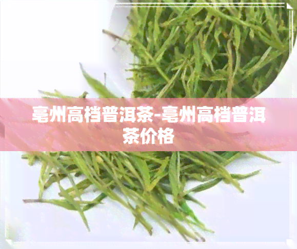 亳州高档普洱茶-亳州高档普洱茶价格