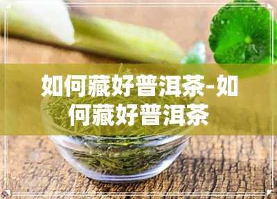 如何藏好普洱茶-如何藏好普洱茶