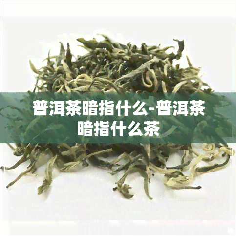 普洱茶暗指什么-普洱茶暗指什么茶