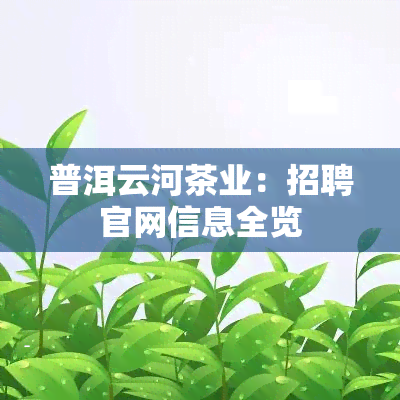 普洱云河茶业：招聘官网信息全览