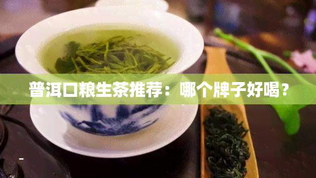 普洱口粮生茶推荐：哪个牌子好喝？