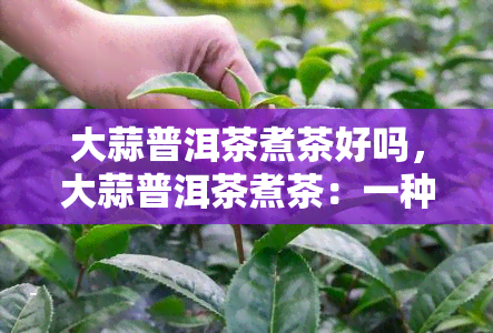 大蒜普洱茶煮茶好吗，大蒜普洱茶煮茶：一种独特的饮品体验？