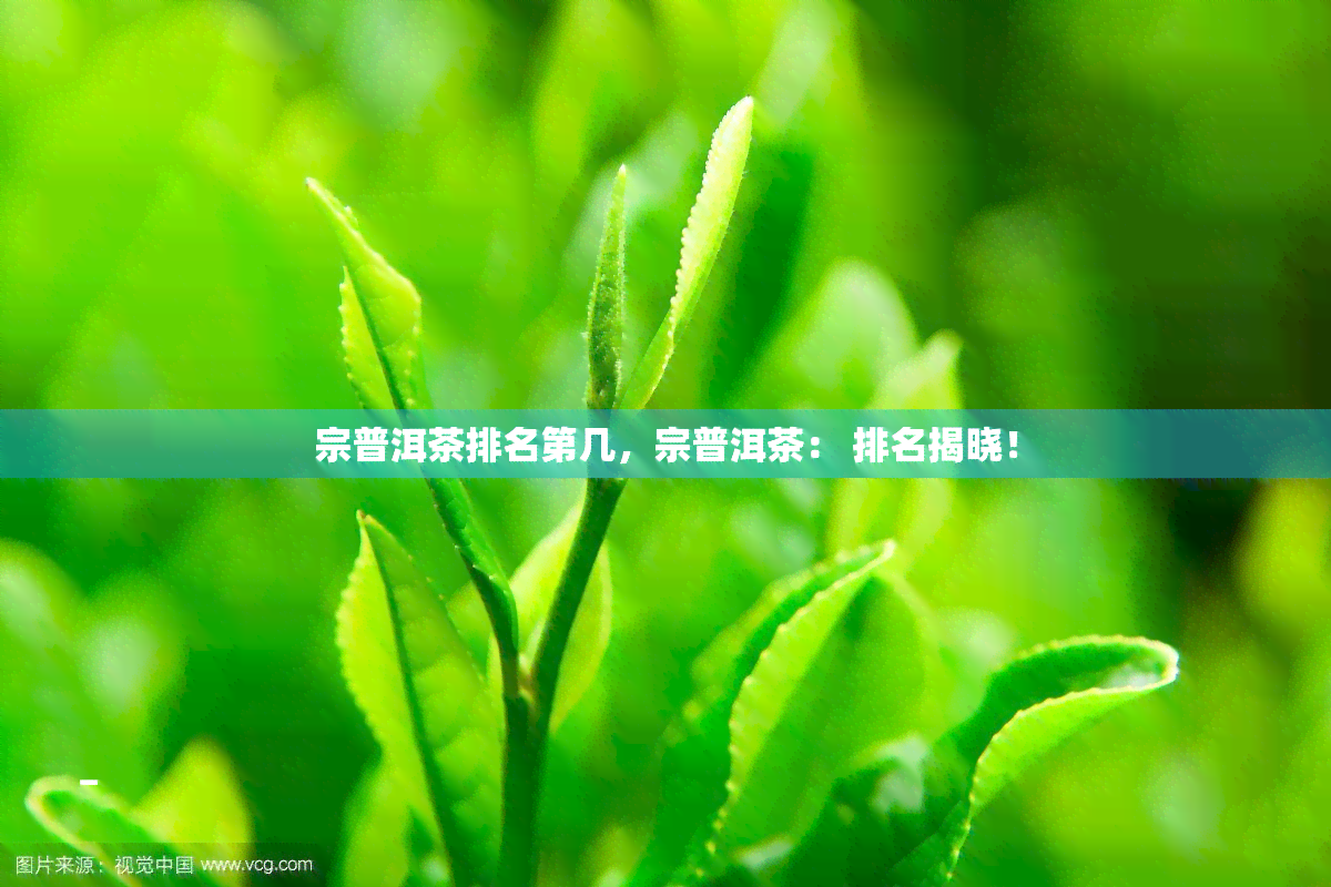 宗普洱茶排名第几，宗普洱茶： 排名揭晓！