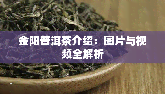 金阳普洱茶介绍：图片与视频全解析