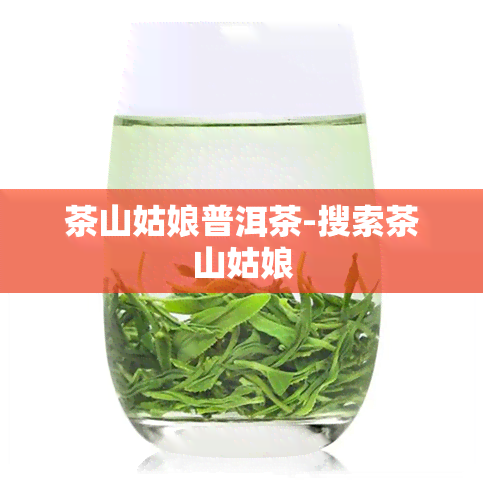 茶山姑娘普洱茶-搜索茶山姑娘