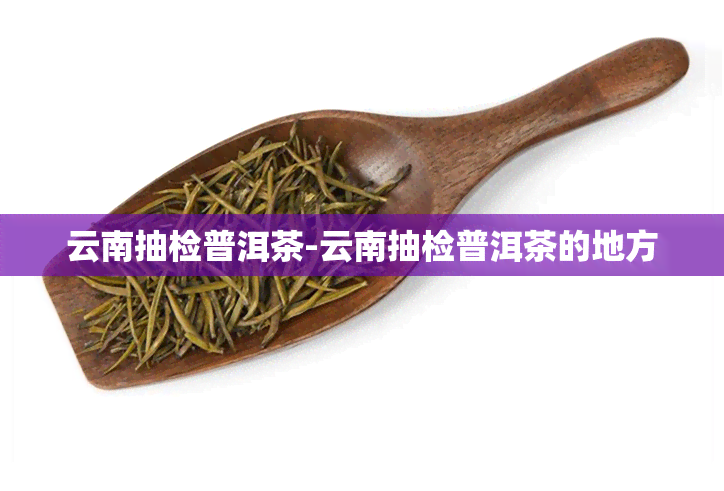 云南抽检普洱茶-云南抽检普洱茶的地方