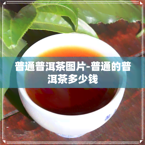 普通普洱茶图片-普通的普洱茶多少钱