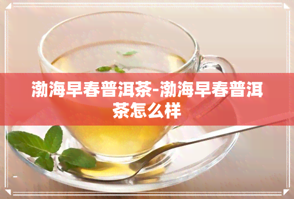 渤海早春普洱茶-渤海早春普洱茶怎么样