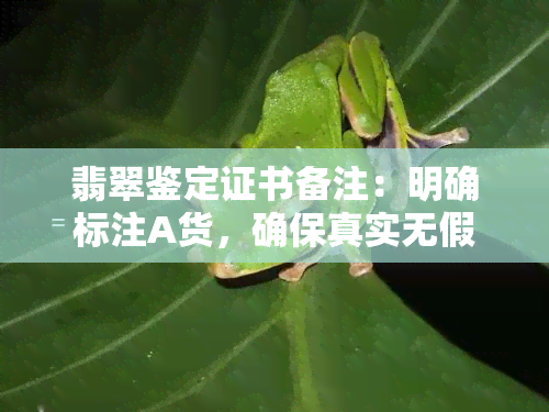 翡翠鉴定证书备注：明确标注A货，确保真实无假