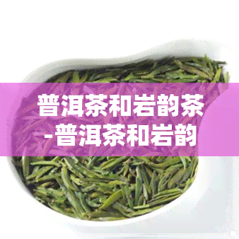 普洱茶和岩韵茶-普洱茶和岩韵茶哪个好