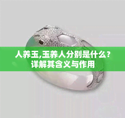 人养玉,玉养人分别是什么？详解其含义与作用