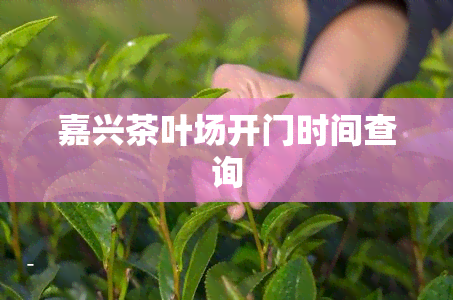 嘉兴茶叶贩卖
哪家好做（嘉兴茶叶贩卖
哪家好做一点）《嘉兴卖茶叶的地方》