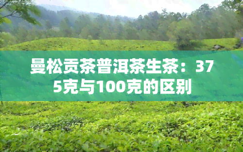 曼松贡茶普洱茶生茶：375克与100克的区别