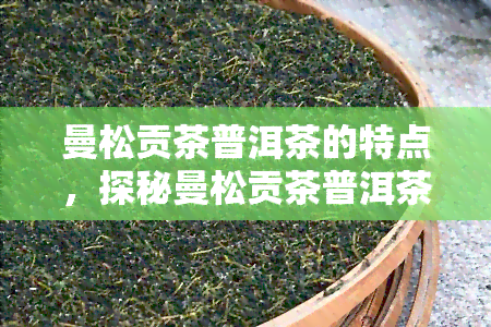 曼松贡茶普洱茶的特点，探秘曼松贡茶普洱茶的独特魅力