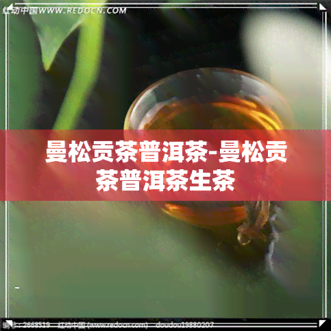 曼松贡茶普洱茶-曼松贡茶普洱茶生茶