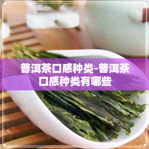 普洱茶口感种类-普洱茶口感种类有哪些