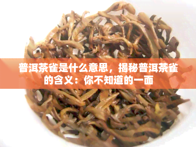 普洱茶雀是什么意思，揭秘普洱茶雀的含义：你不知道的一面