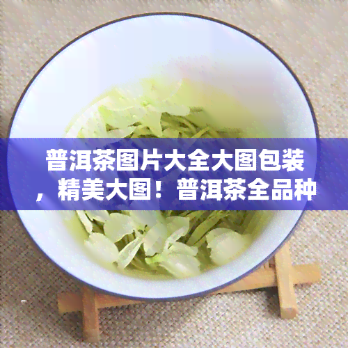 普洱茶图片大全大图包装，精美大图！普洱茶全品种包装图片大全