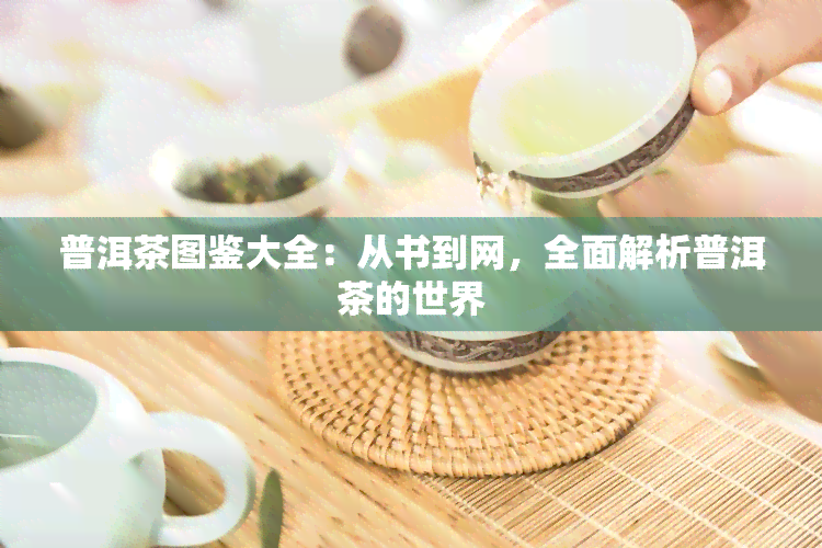 普洱茶图鉴大全：从书到网，全面解析普洱茶的世界