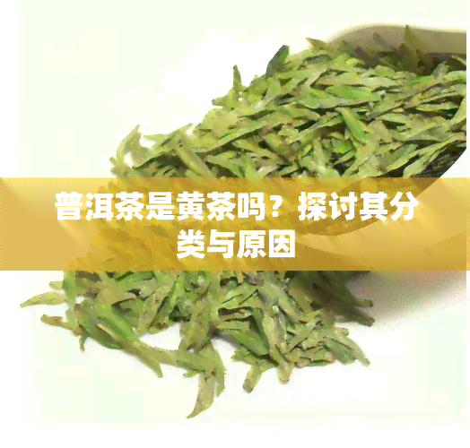 普洱茶是黄茶吗？探讨其分类与原因