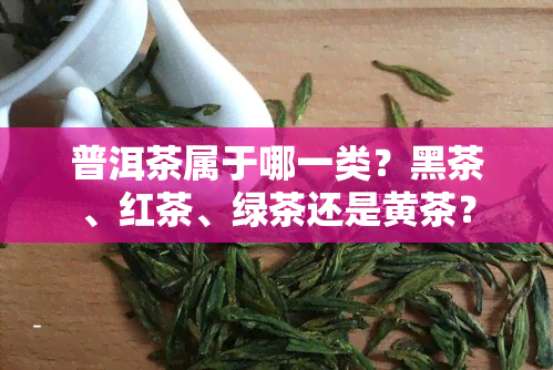 普洱茶属于哪一类？黑茶、红茶、绿茶还是黄茶？