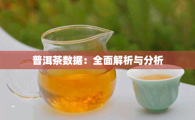 普洱茶数据：全面解析与分析