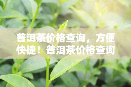 普洱茶价格查询，方便快捷！普洱茶价格查询，一键获取最新行情！