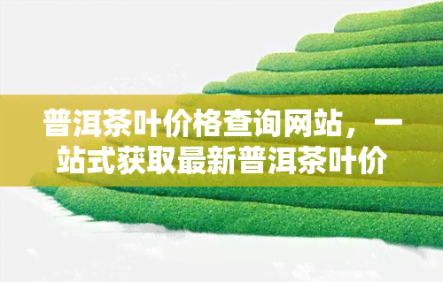 普洱茶叶价格查询网站，一站式获取最新普洱茶叶价格，尽在我们的专业查询网站！