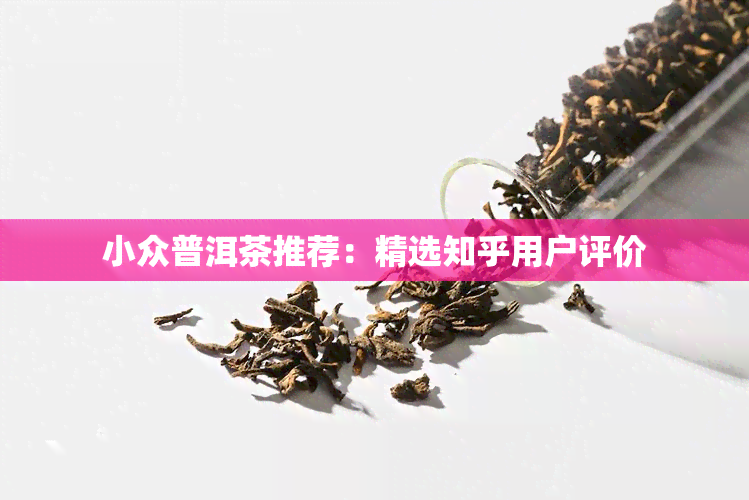 小众普洱茶推荐：精选知乎用户评价