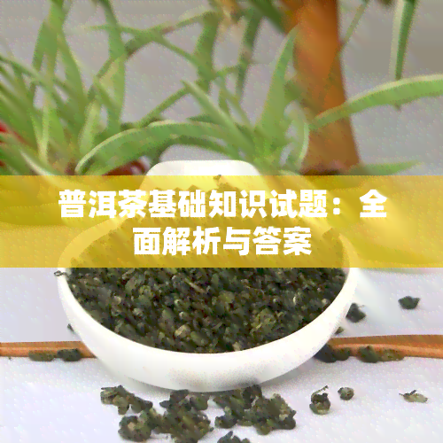 普洱茶基础知识试题：全面解析与答案