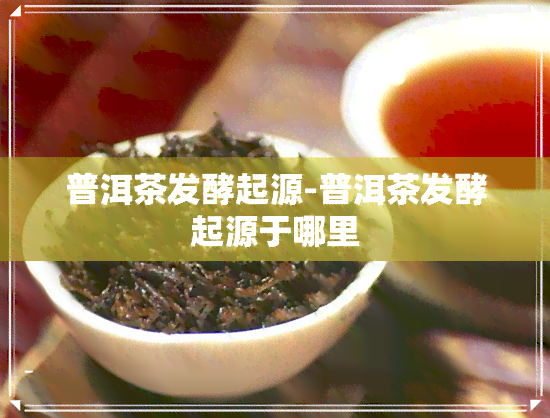 普洱茶发酵起源-普洱茶发酵起源于哪里