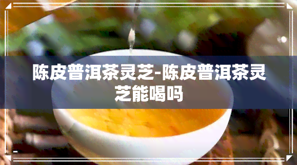 陈皮普洱茶灵芝-陈皮普洱茶灵芝能喝吗