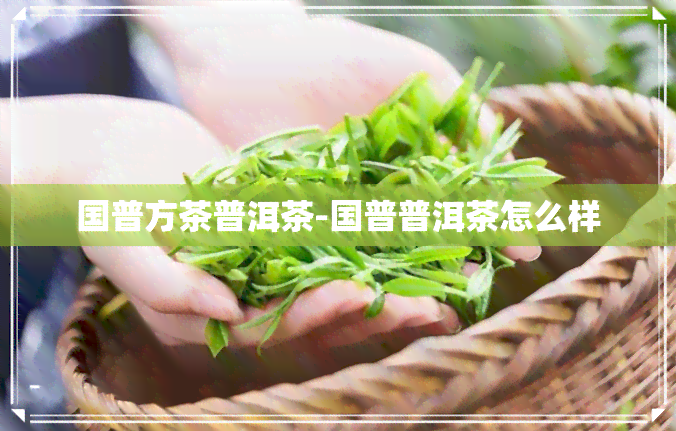 国普方茶普洱茶-国普普洱茶怎么样