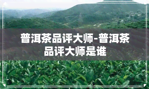 普洱茶品评大师-普洱茶品评大师是谁