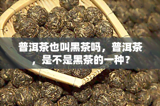 普洱茶也叫黑茶吗，普洱茶，是不是黑茶的一种？