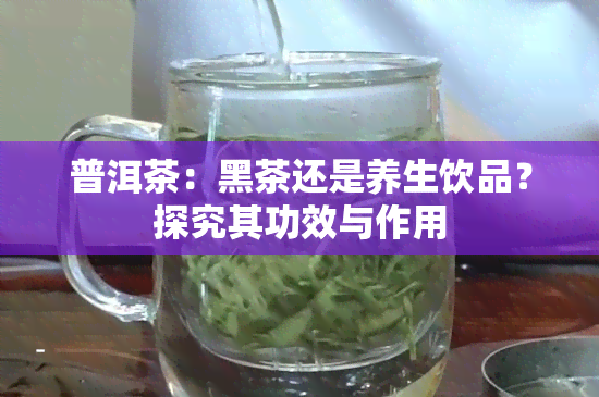 普洱茶：黑茶还是养生饮品？探究其功效与作用