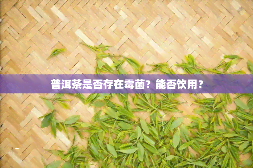 普洱茶是否存在霉菌？能否饮用？